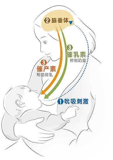 催乳照片实拍开奶图片