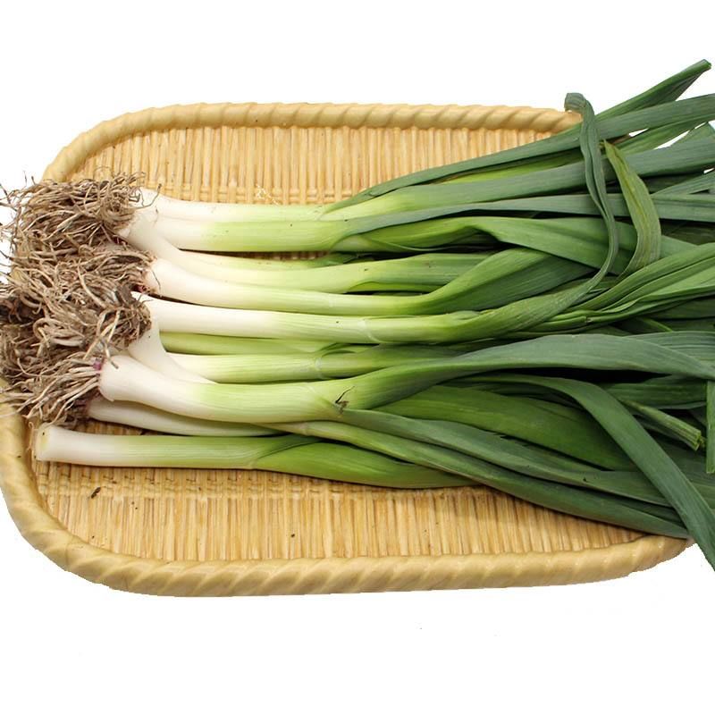 星产品一:青大蒜(若干份)蛋挞and青大蒜 芹菜"星"摊位预告