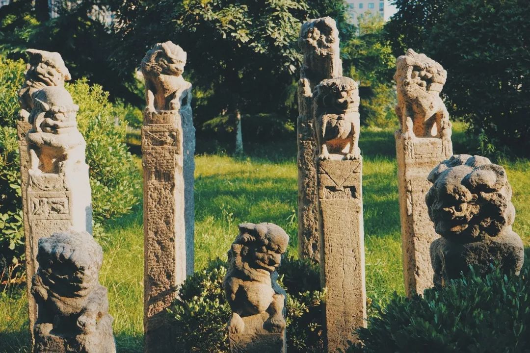 全国最大藏量拴马桩竟然深居雁塔这所高校