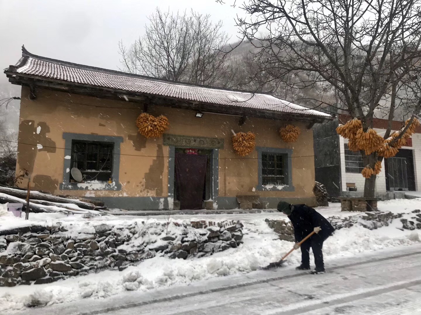 农村小院冬天雪景描写图片