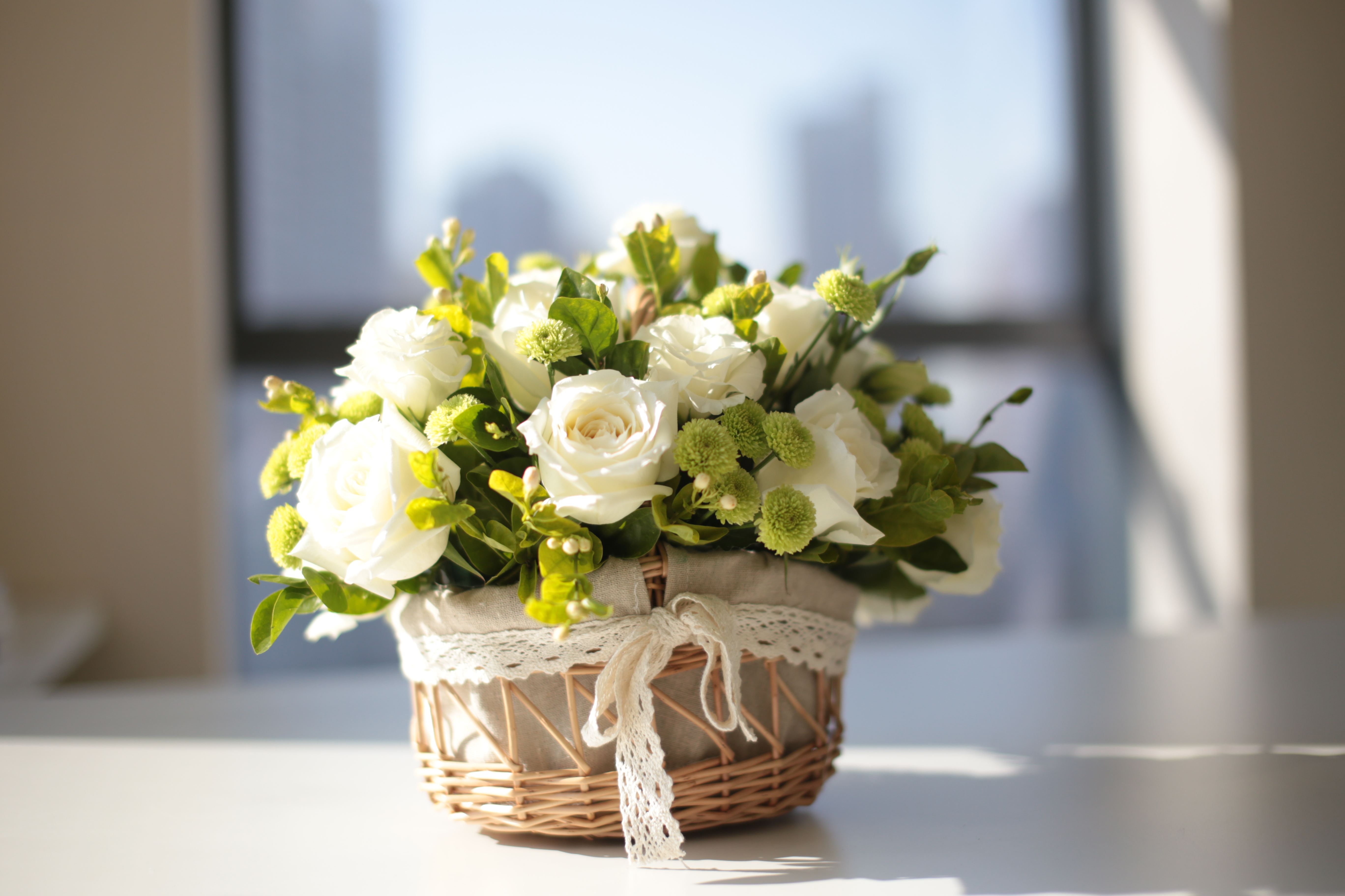 宝榭香水丨藏在大自然里的香氛