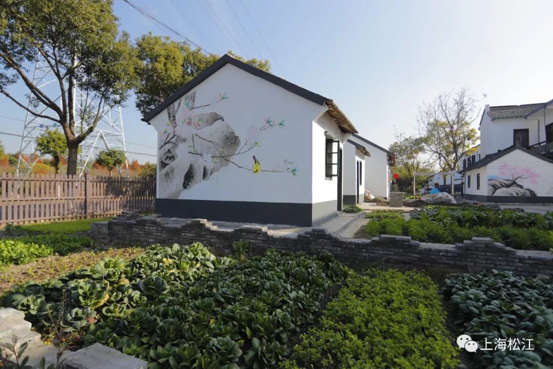 兴奋地展示着自家的变化:屋前的路修好了,屋后空地种上了绿化,原本