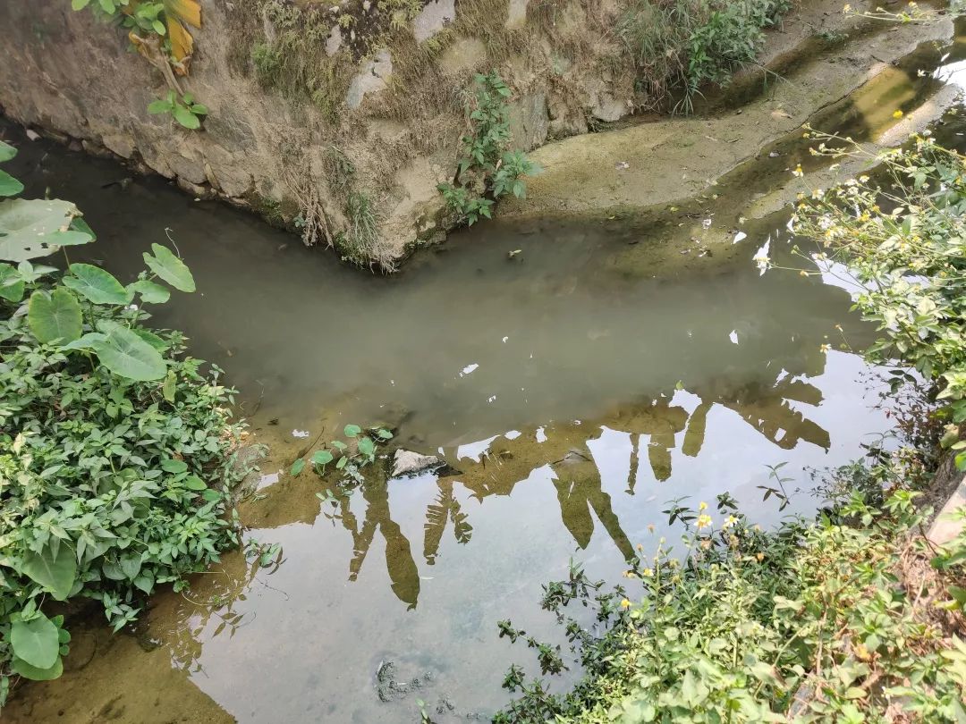 治水 护水 兴水 四航人的治水之路 施工