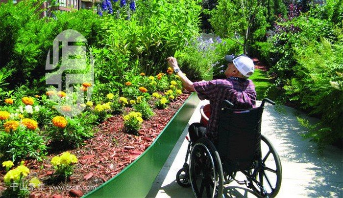 园艺疗法的社会方面