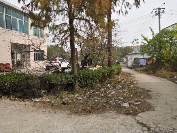 乱扔垃圾问题4鹅湖镇三新村陆更上墙面出新问题5东北塘街道正阳村钟巷