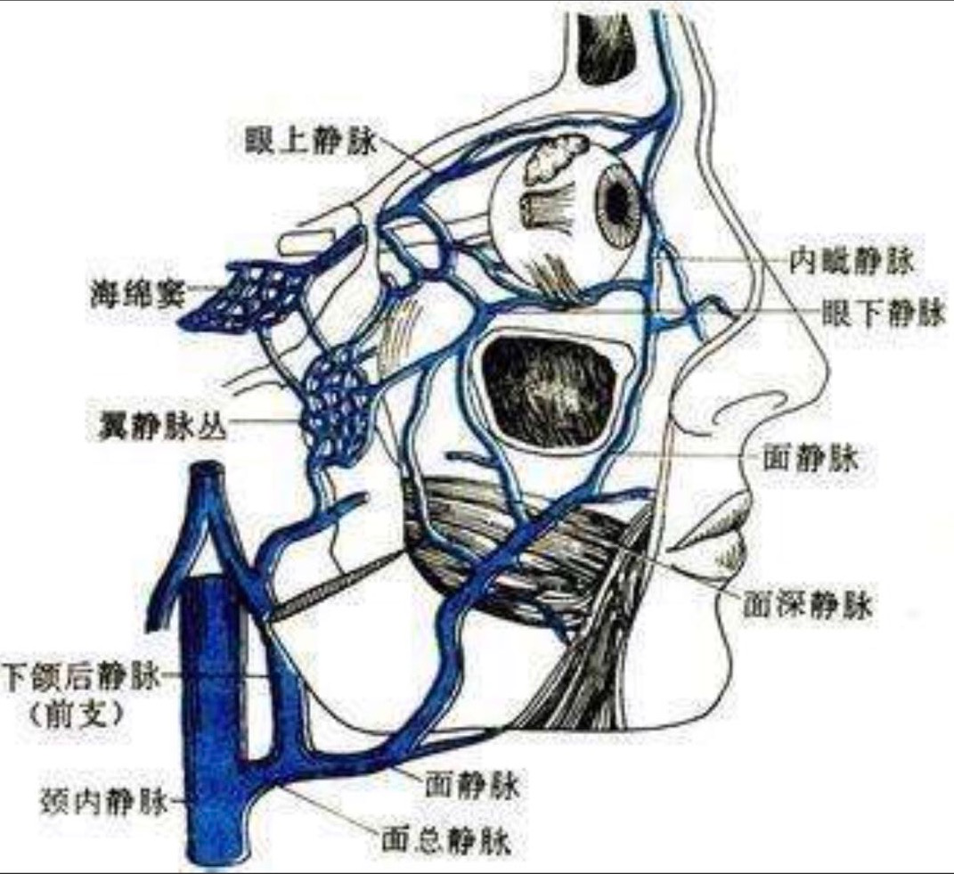 冬天是祛痘的最好时机,告别痘痘肌需要三招