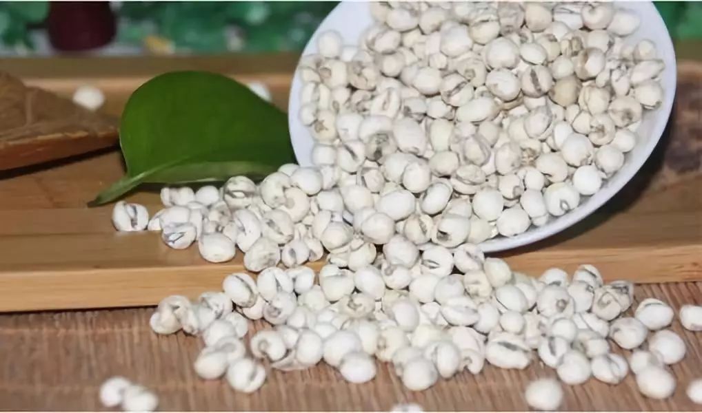 走街串巷访百家丨一片药材富裕一方秋收之后探增收之北药产业