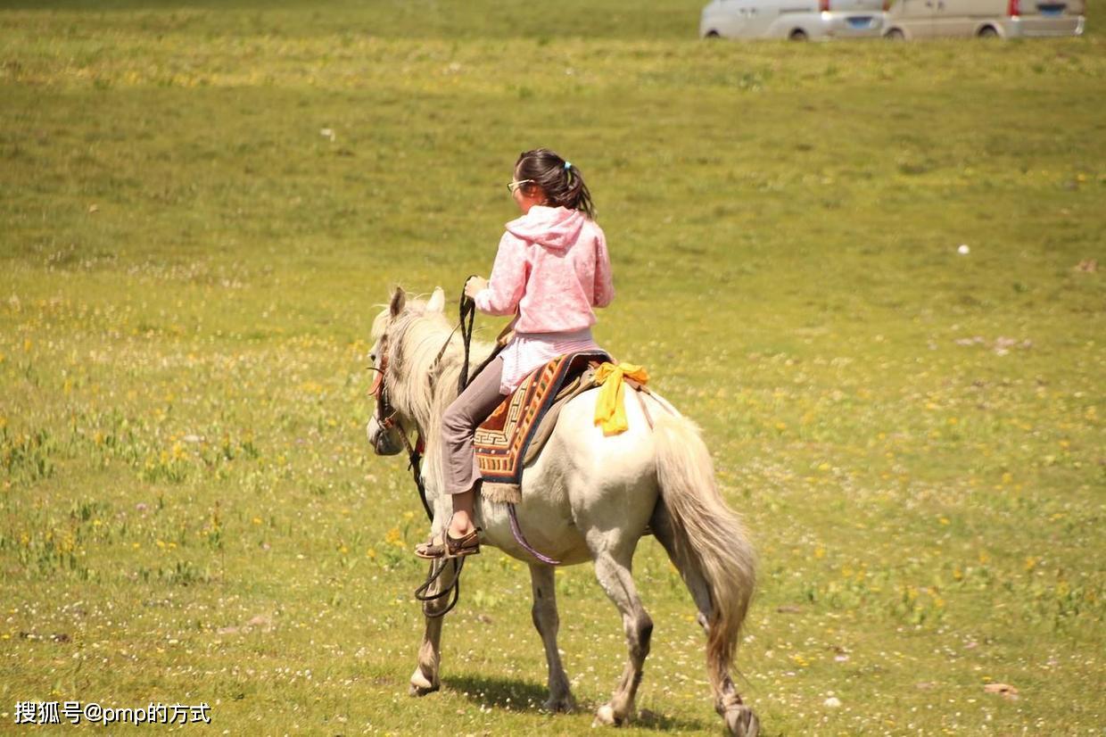 上,游客相对较少,主要是一些拍照的情侣,另外就是不少牧场让游客骑马