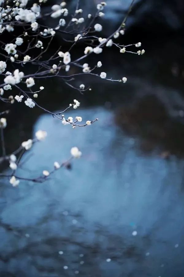 寂静是一种人生之境