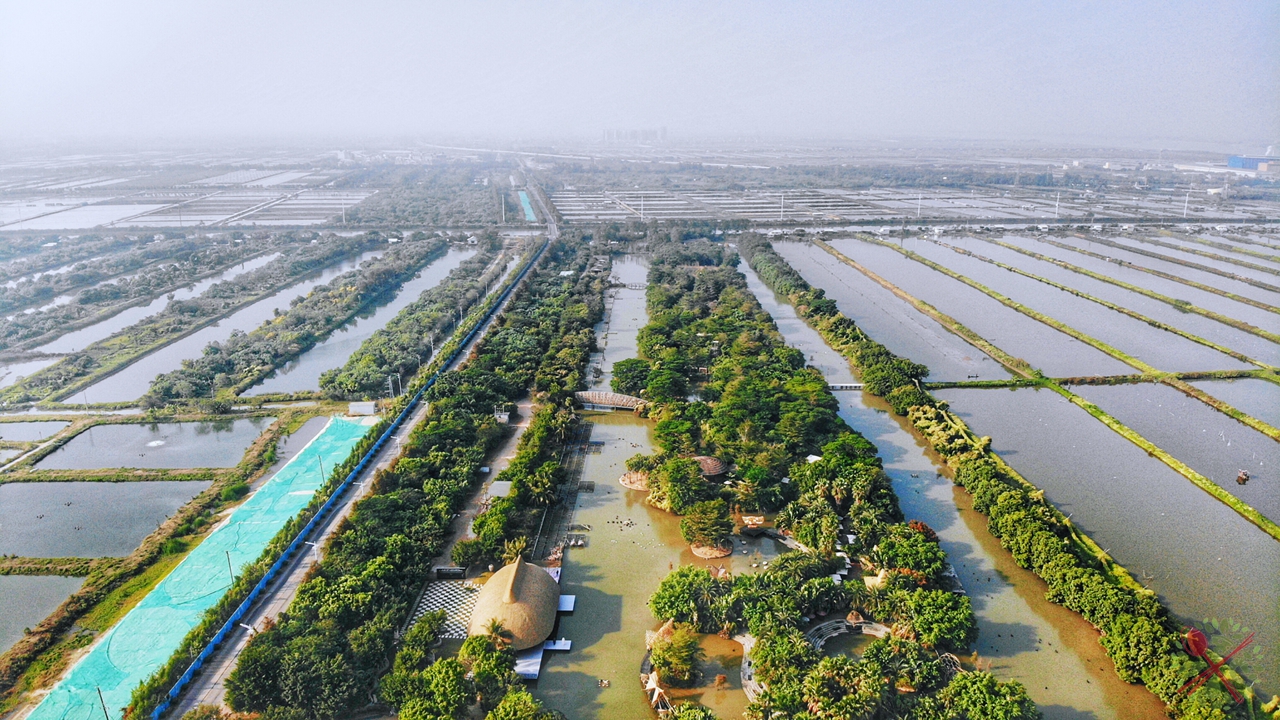 占地面积25万平方米,共有48种水鸟,分为雨林岛,花树岛,棕榈岛,迷宫岛