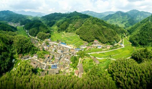 不忘初心牢记使命龙泉市城北乡上田村革命老村书写红色经济新篇章