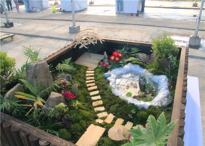 微景观设计与制作"大赛_园艺