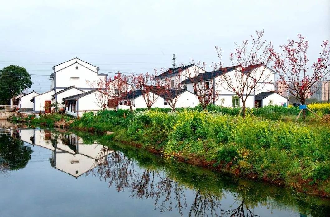 宁波新一批美丽乡村示范创建名单公布镇海这些地方入选