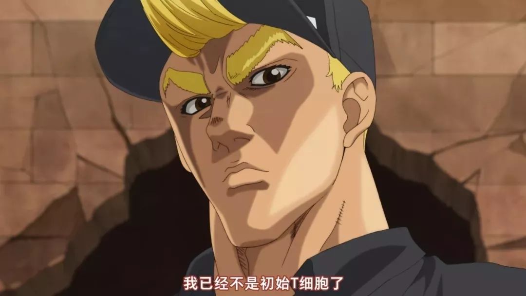 不同的t细胞功能也不同经历过专业训练的也不仅只有杀手t细胞辅助t