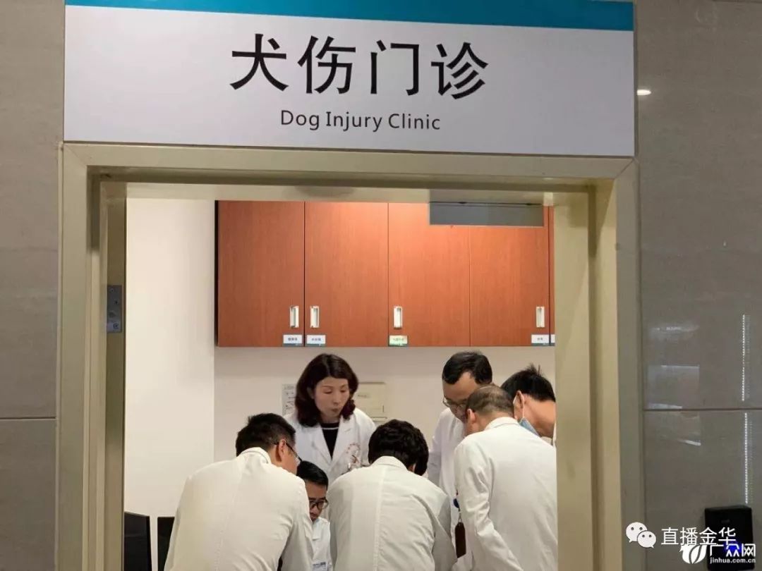 宁波24小时犬伤门诊图片