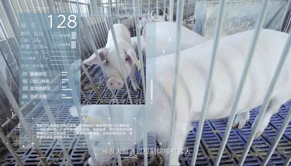 腾讯张小龙华为余承东厉害的人从不在最牛的时候吃老本