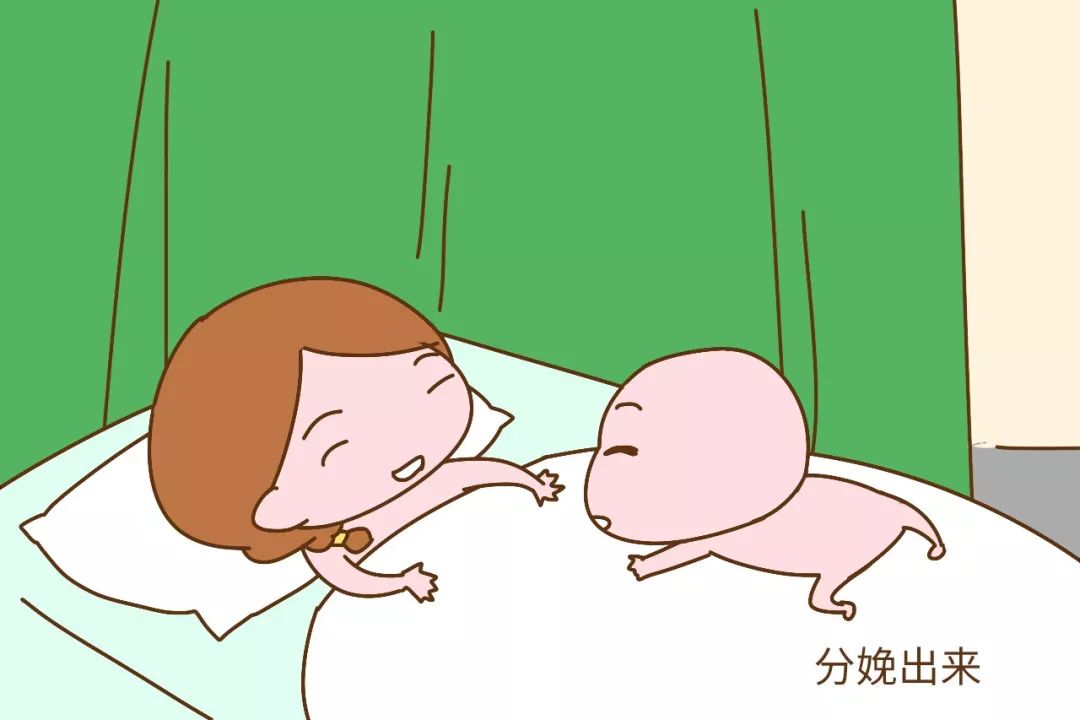 女人生小宝宝动画片图片