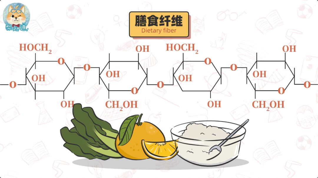 膳食纤维长什么样子图片