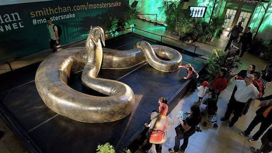 原创世界上最长的蟒蛇,身长14.85米,名字竟然叫"桂花".