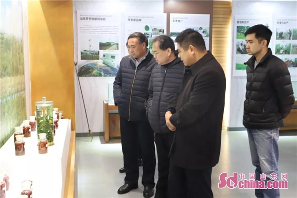 山东省旅游商品开发服务中心主任吴凯到下洼镇调研