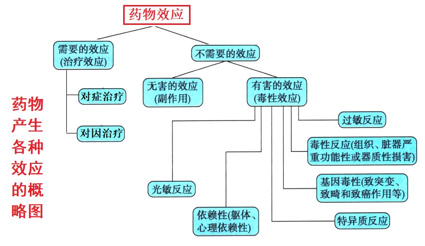 药理学药物的作用机制和不良反应