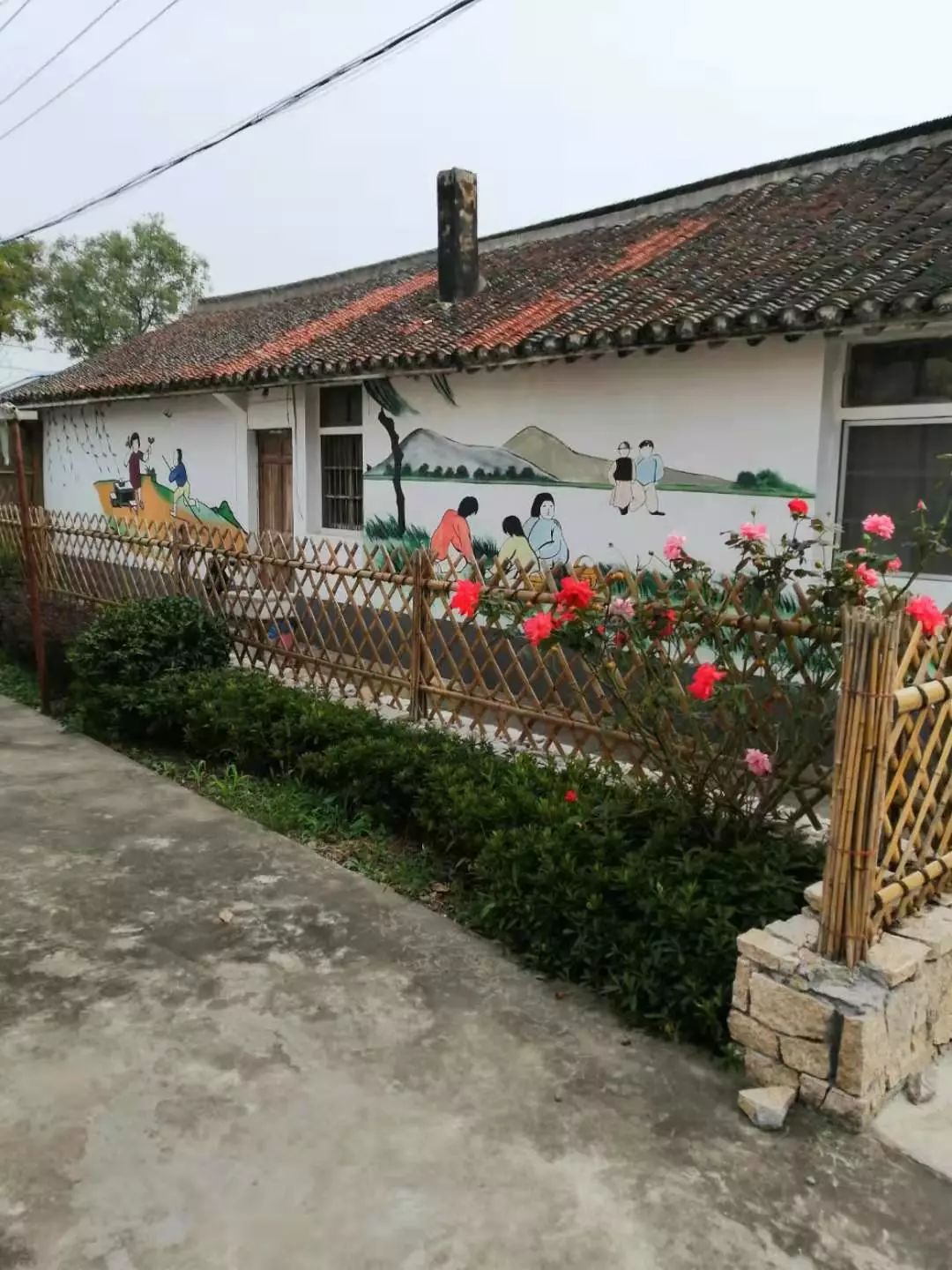 美丽庭院示范区崇明的乡村原来可以这么美