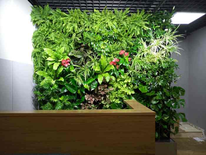 室内植物墙通风系统