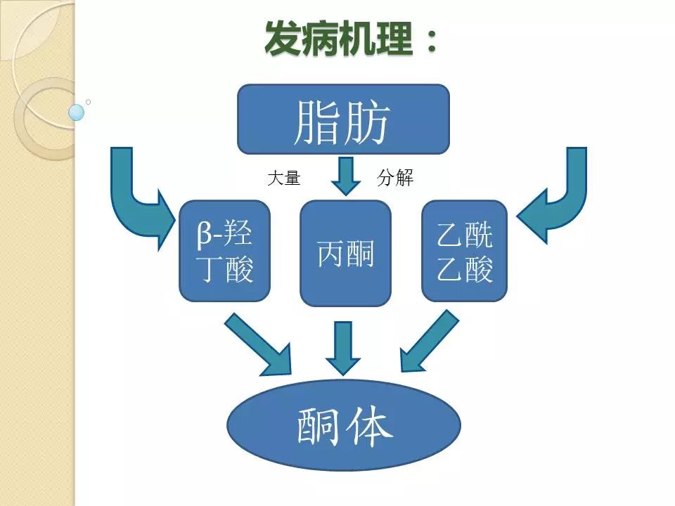 ppt糖尿病酮症酸中毒病人護理查房