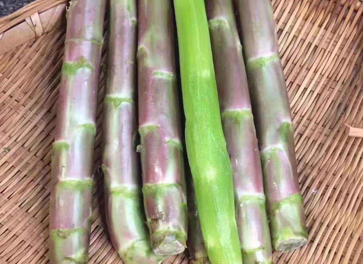 嘉禾祁连果蔬 | 绿色红笋,取材至全球唯一的红笋产地