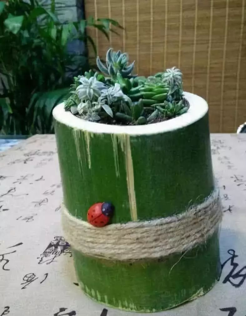 这些旧物改造一下就能拿来当花盆不用多花冤枉钱啦