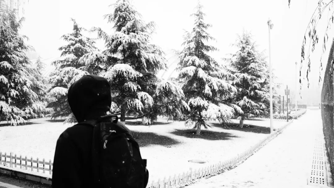 雪后图书馆▲一串串脚印雪天才终于变得清晰起来.