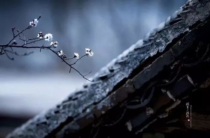 3 ~寂静,是灵魂里的一种孤独.