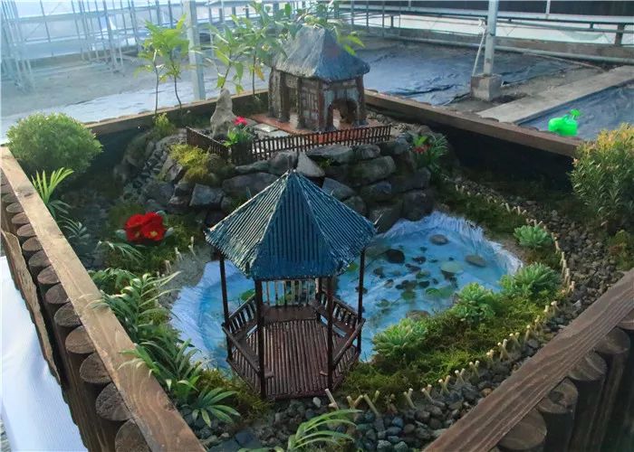 微景观设计与制作"大赛_园艺