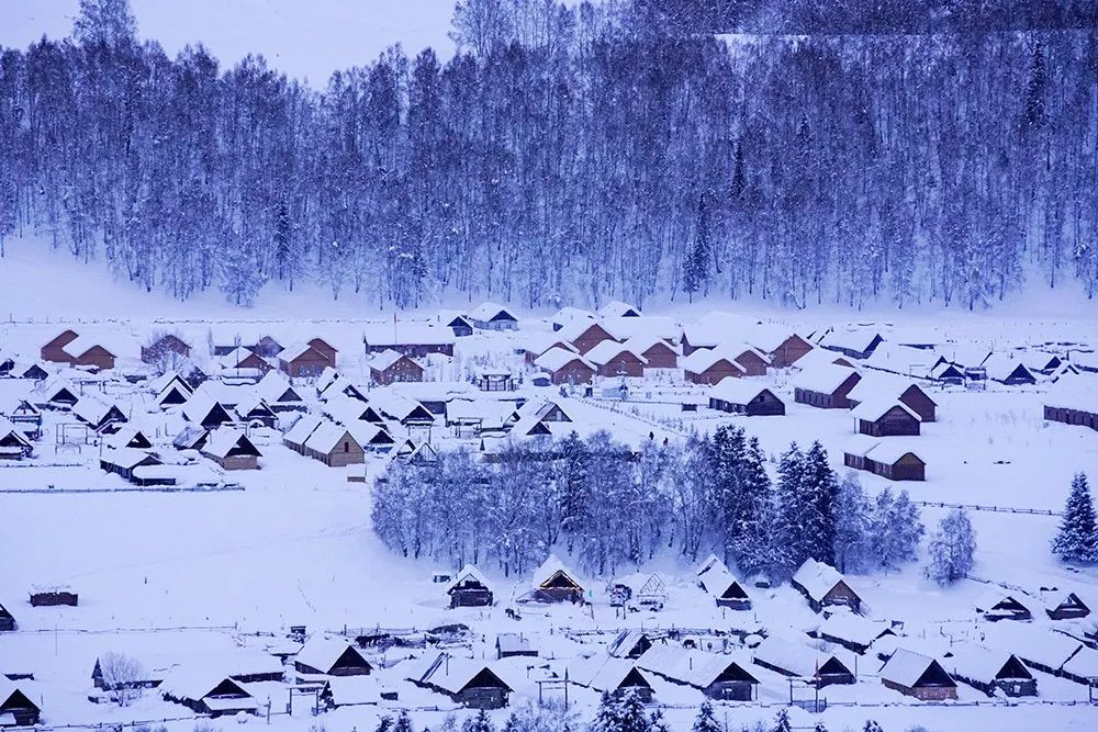 冬日不去阿勒泰 阅尽千山也枉然