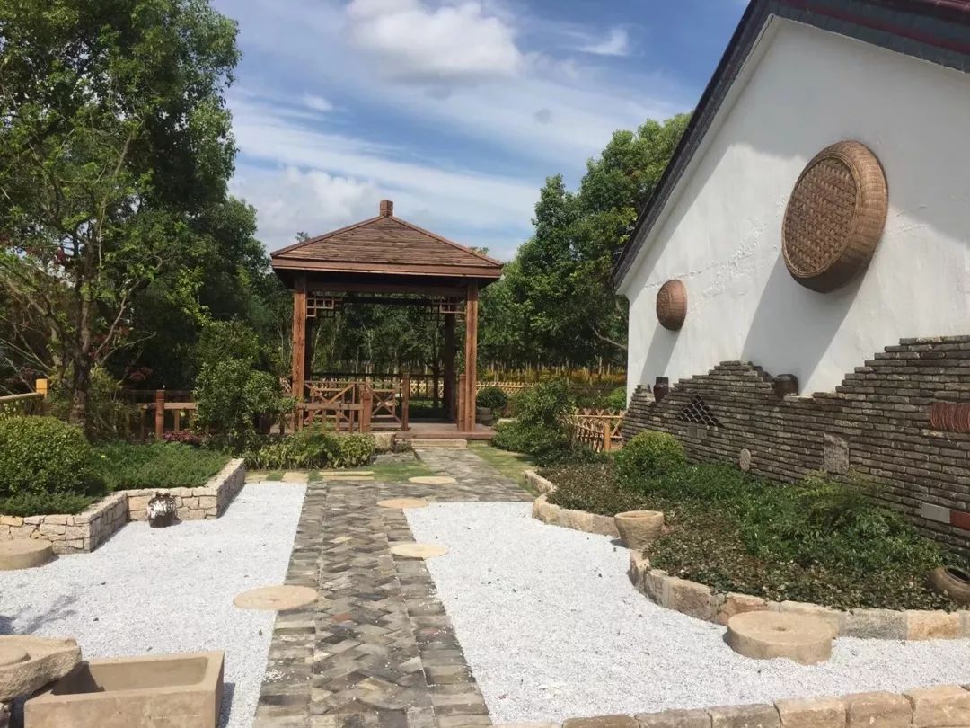 【美丽庭院示范区】崇明的乡村原来可以这么美