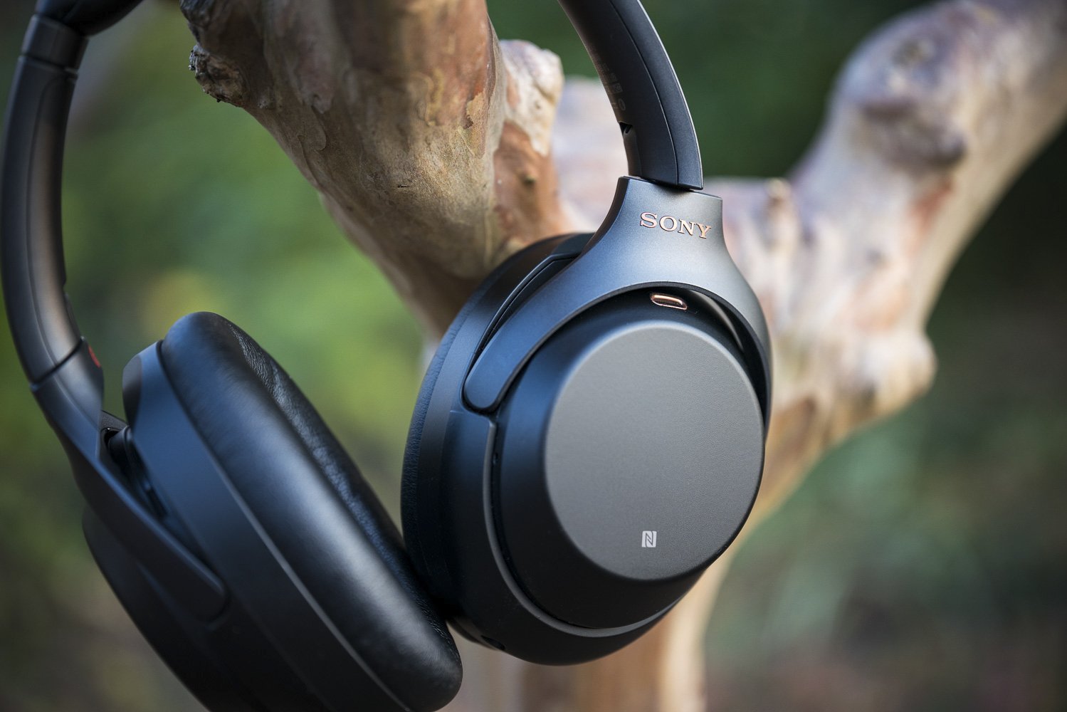 回归冷静认真审视一些关于索尼wh1000xm3亲身体验