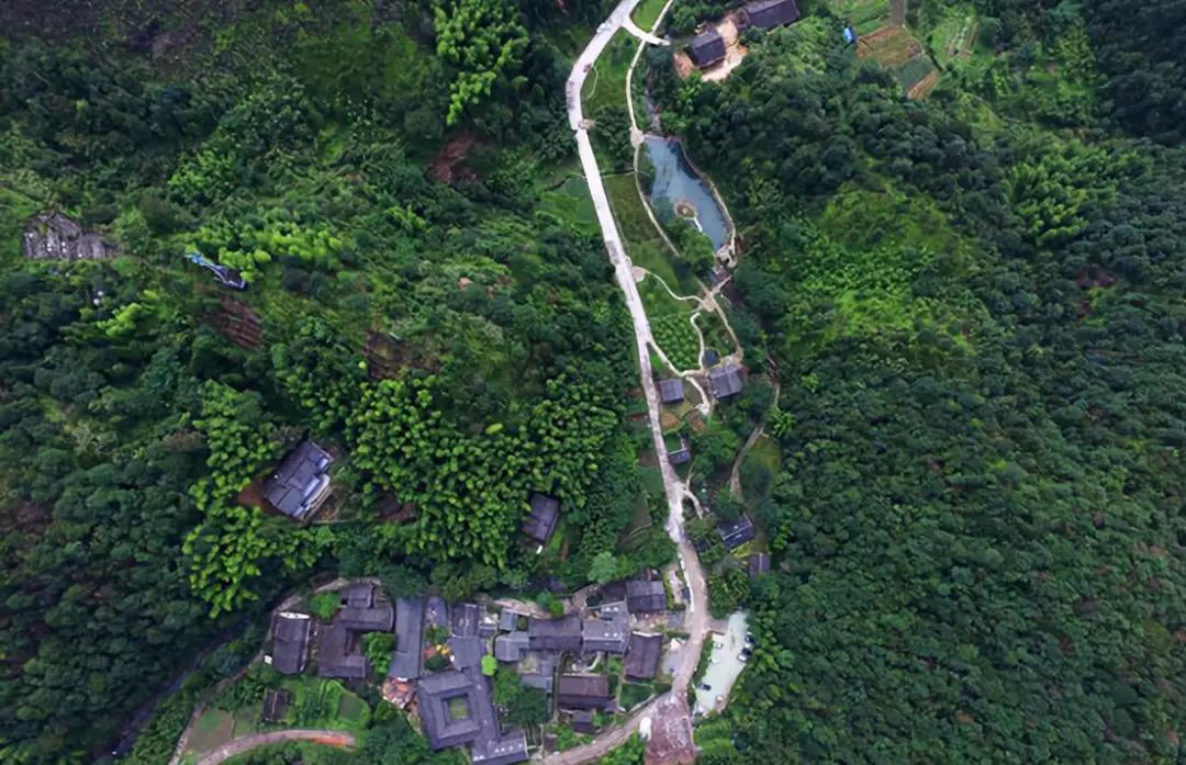 大山里的浙江乌岩头村何以成为央视都报道的乡村振兴样本