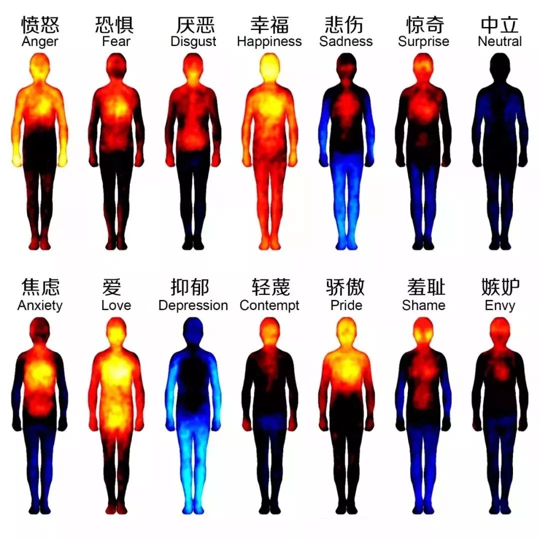 最顶级的情绪管理从不回避情绪