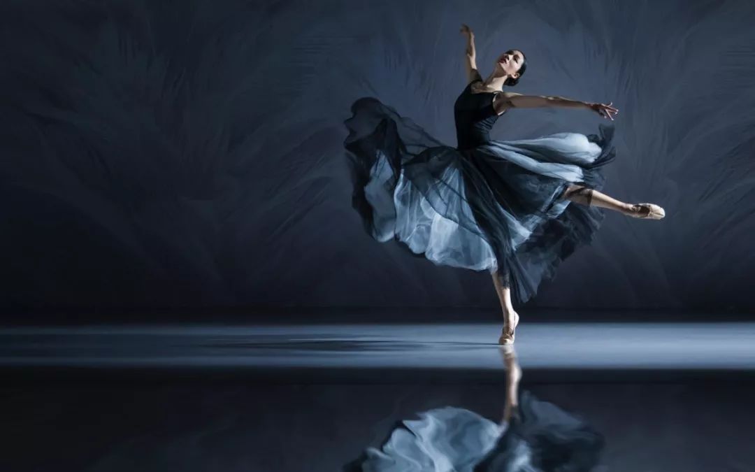 专业解读丨舞蹈类:翩翩起舞的人,有着不一样的美