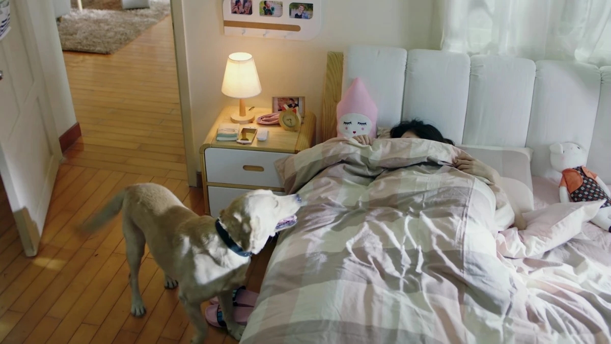 喜梦宝大白床亮相《青春抛物线》,明星的卧室原来长这样!