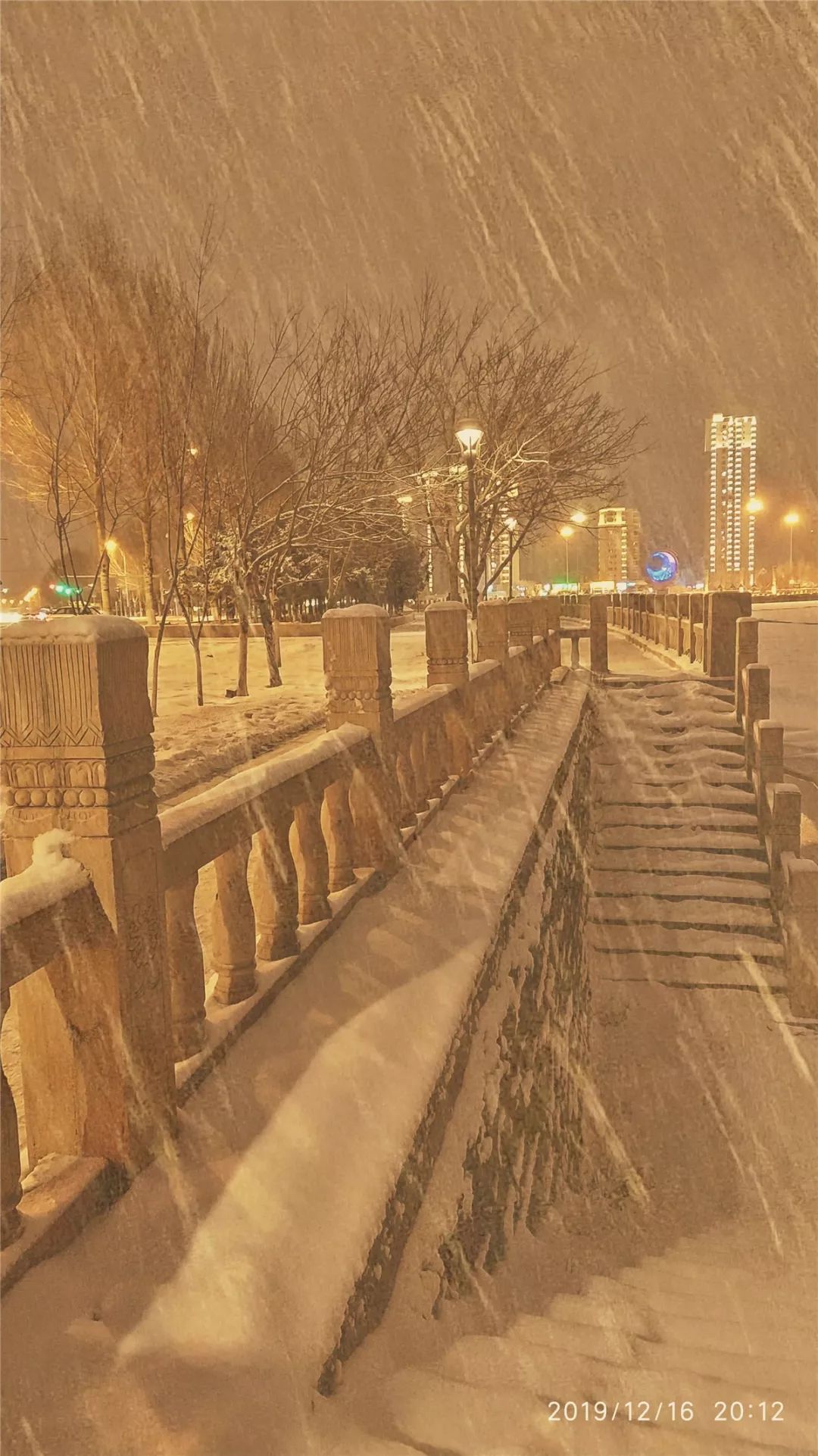 一场大雪惊艳了辽河两岸的夜色