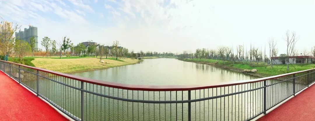 新年第一天到南林公园跑步迎新约吗