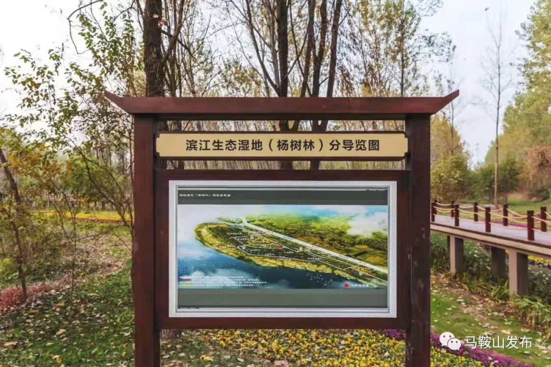 牌入口處的導覽圖濱江生態溼地(楊樹林)總導覽圖3000畝溼地公園與市民