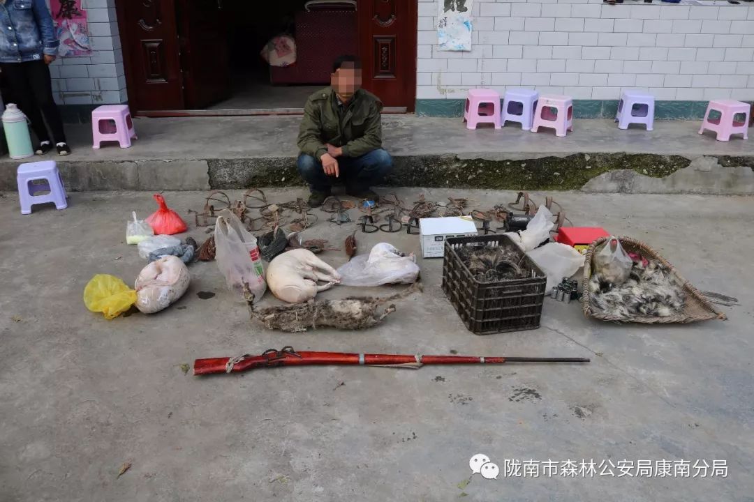 康县:近期连续破获4起非法猎捕野生动物案