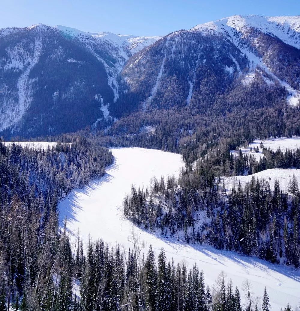 冬日不去阿勒泰 阅尽千山也枉然