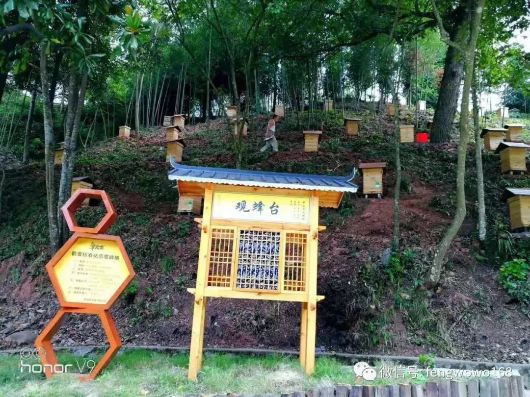 新晃县2019年第四期中蜂养殖技术培训通知_养蜂