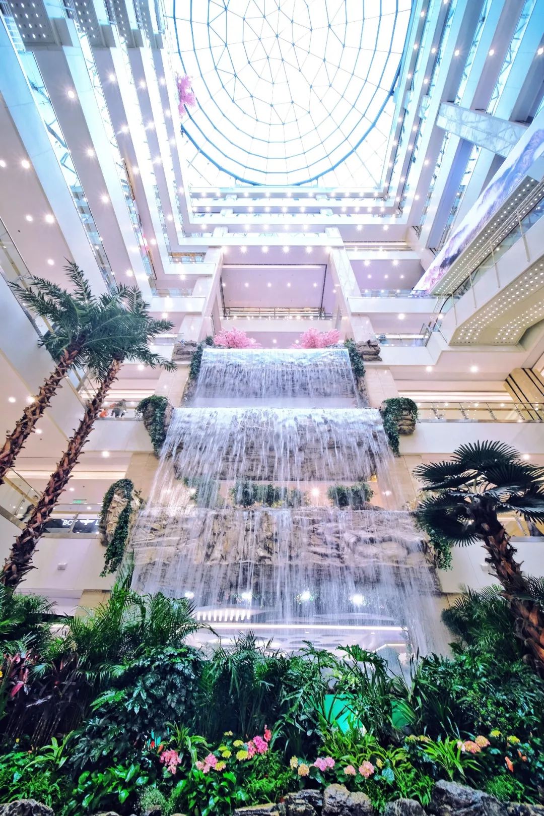 聚焦五星:恭贺赛格国际购物中心荣获"五星购物中心"称号!_上海世博会