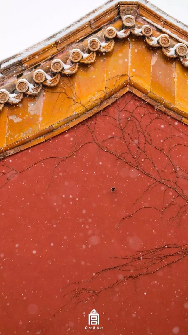 愿等一人,陪我去故宫看雪_红墙