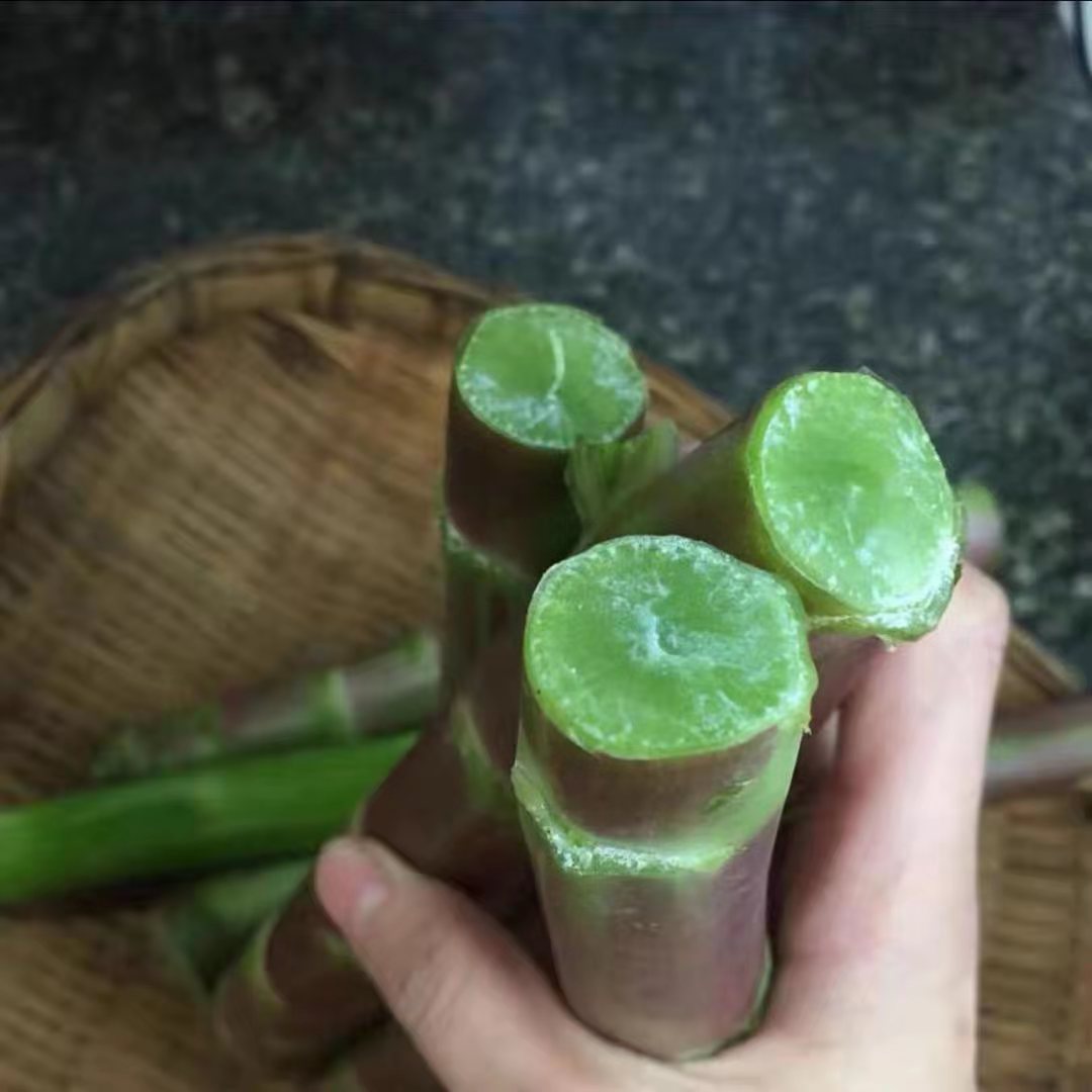 嘉禾祁连果蔬 | 绿色红笋,取材至全球唯一的红笋产地