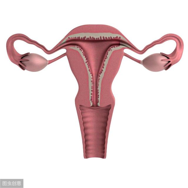 女生私密处那点事!生殖系统保养要注意这几点,男士勿进哦_女性